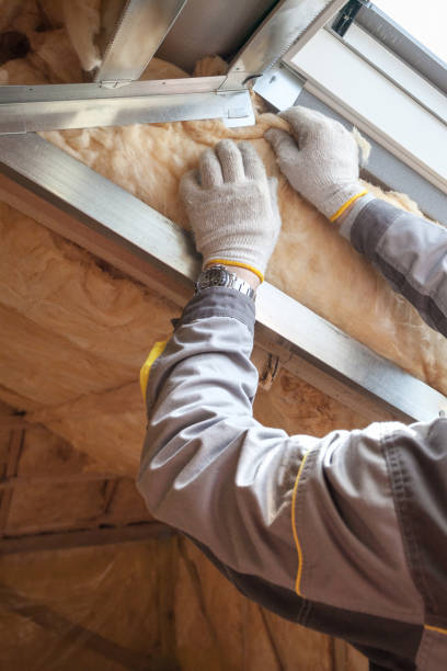 Best Specialized Insulation Services in Weston, WI